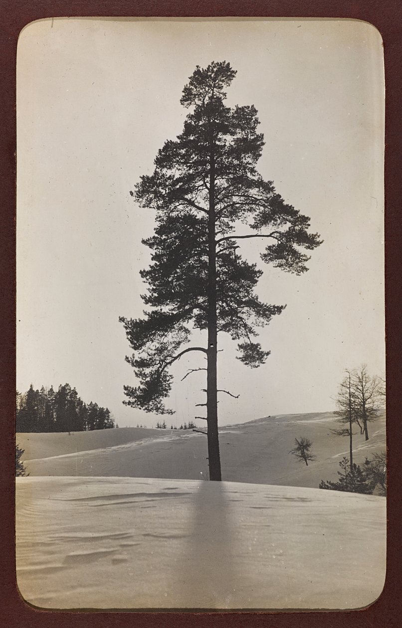 First World War: The Ukraine in the Years 1914-1916 During the Invasion of the German Army. Landscape with Snow by Heldenfriedhof Dsessentniki (attr. to)