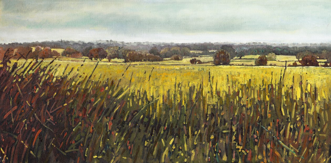 Towards Riseley, 2012 by Helen White