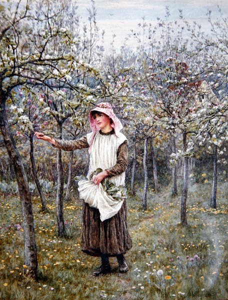 Blossom Time by Helen Allingham