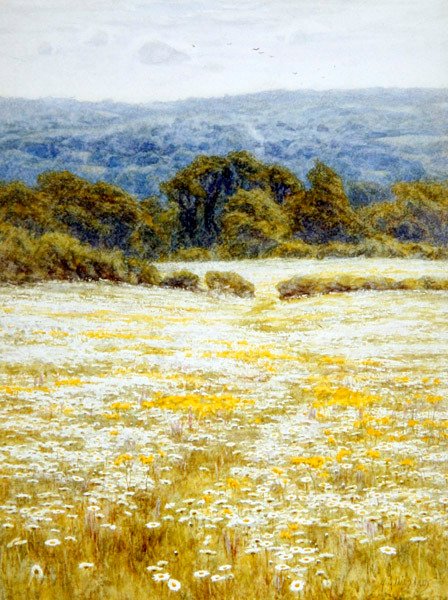 Oxeye Daisies, near Westerham, Kent by Helen Allingham