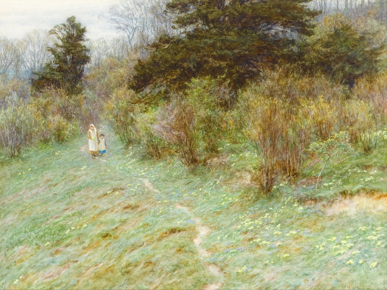 Primroses on a Surrey Heath by Helen Allingham