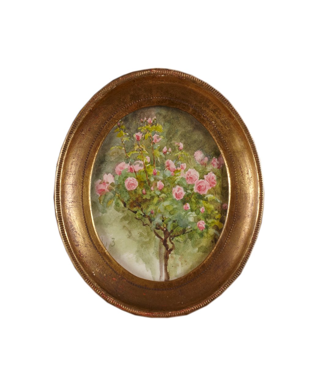Rose Bush by Helen Allingham