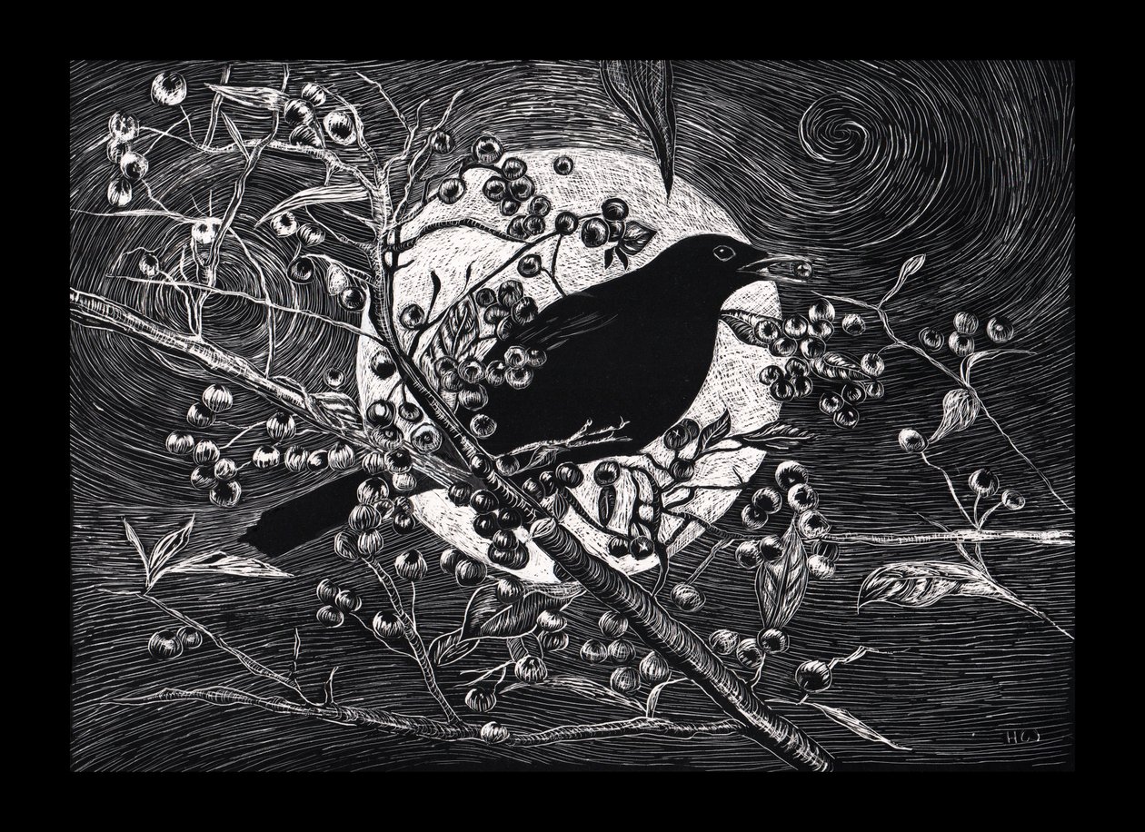 Blackbird, 2023 by Helen White
