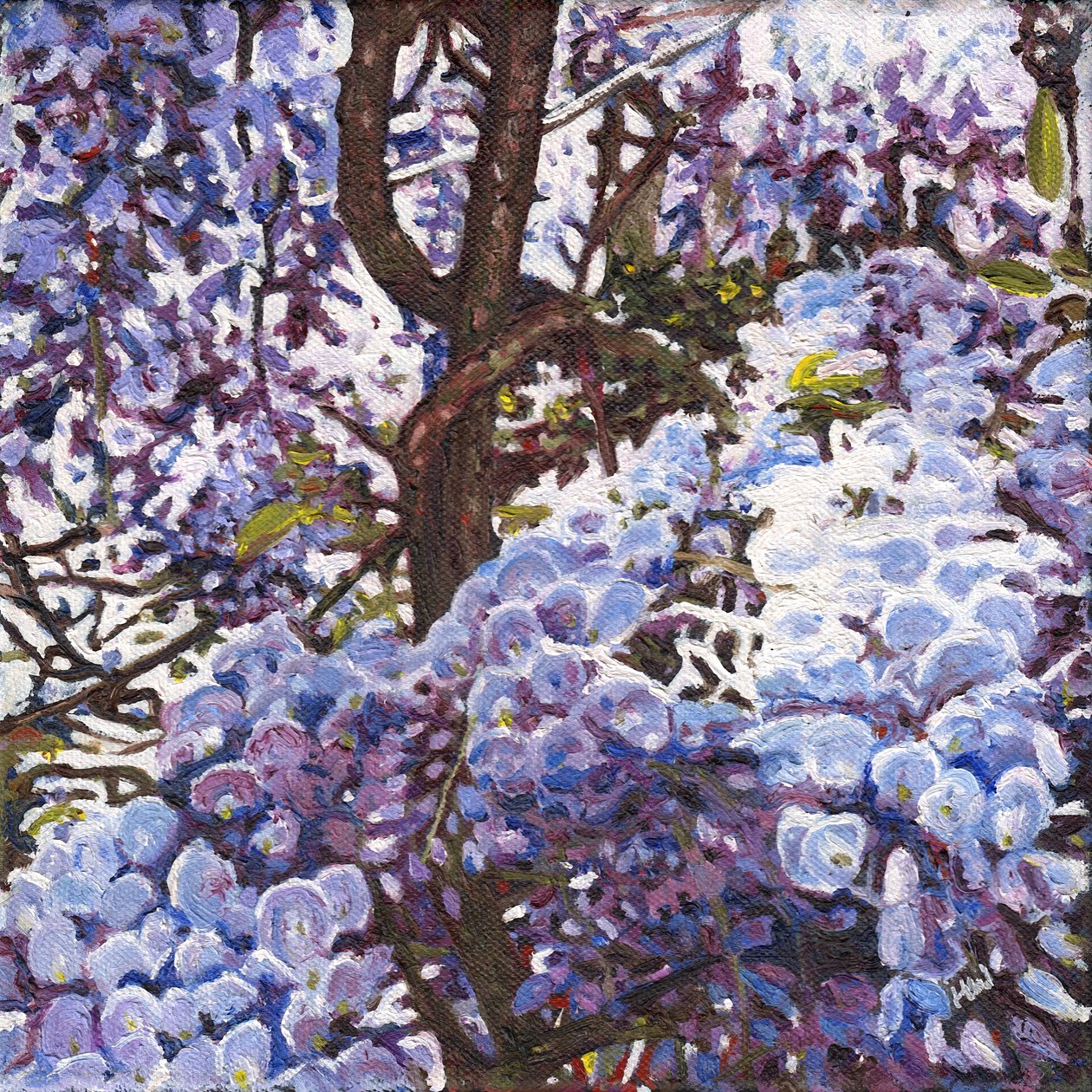 Blue Wisteria by Helen White