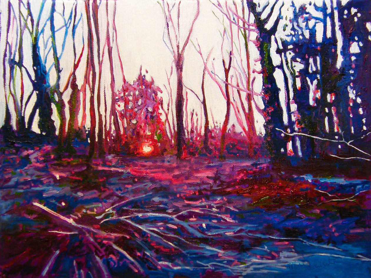 Sunset on Frosted Field, 2009 by Helen White