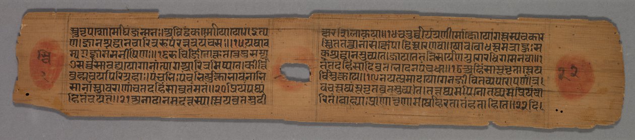 Leaf from a Jain Manuscript: Yoga-shastra: Text recto, Leaf from a Jain Manuscript by Hemachandra
