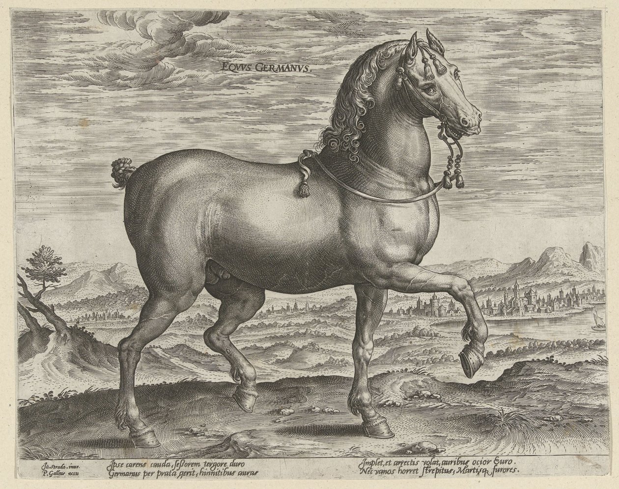 Stallion from Germany by Hendrick Goltzius (possibly)