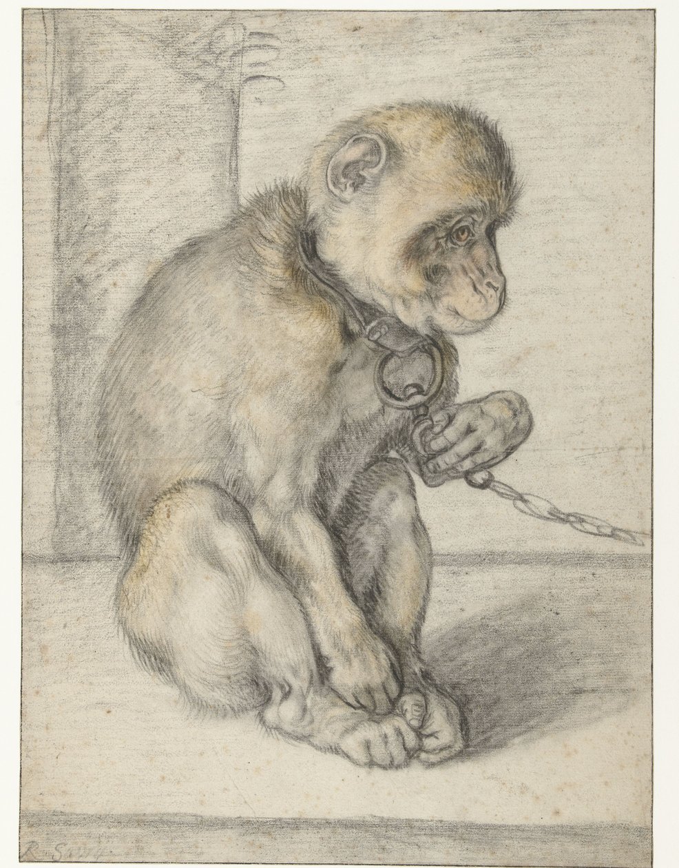 A Seated Monkey on a Chain by Hendrick Goltzius
