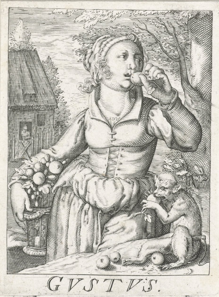 Taste (Gustus), a Woman with Fruits (series title) by Hendrick Hondius (rejected attribution)