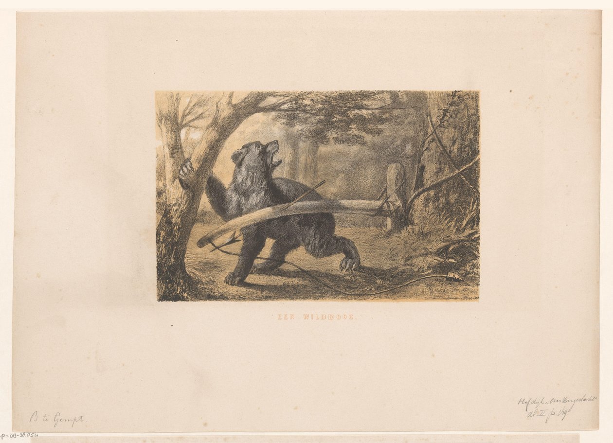 Bear in a Trap by Hendrik Adriaan Christiaan Dekker