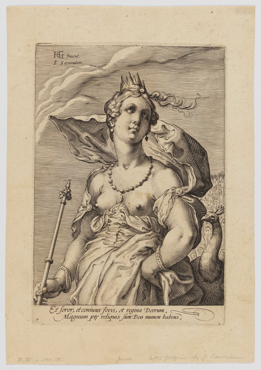 Juno, from the Three Goddesses by Hendrik Goltzius