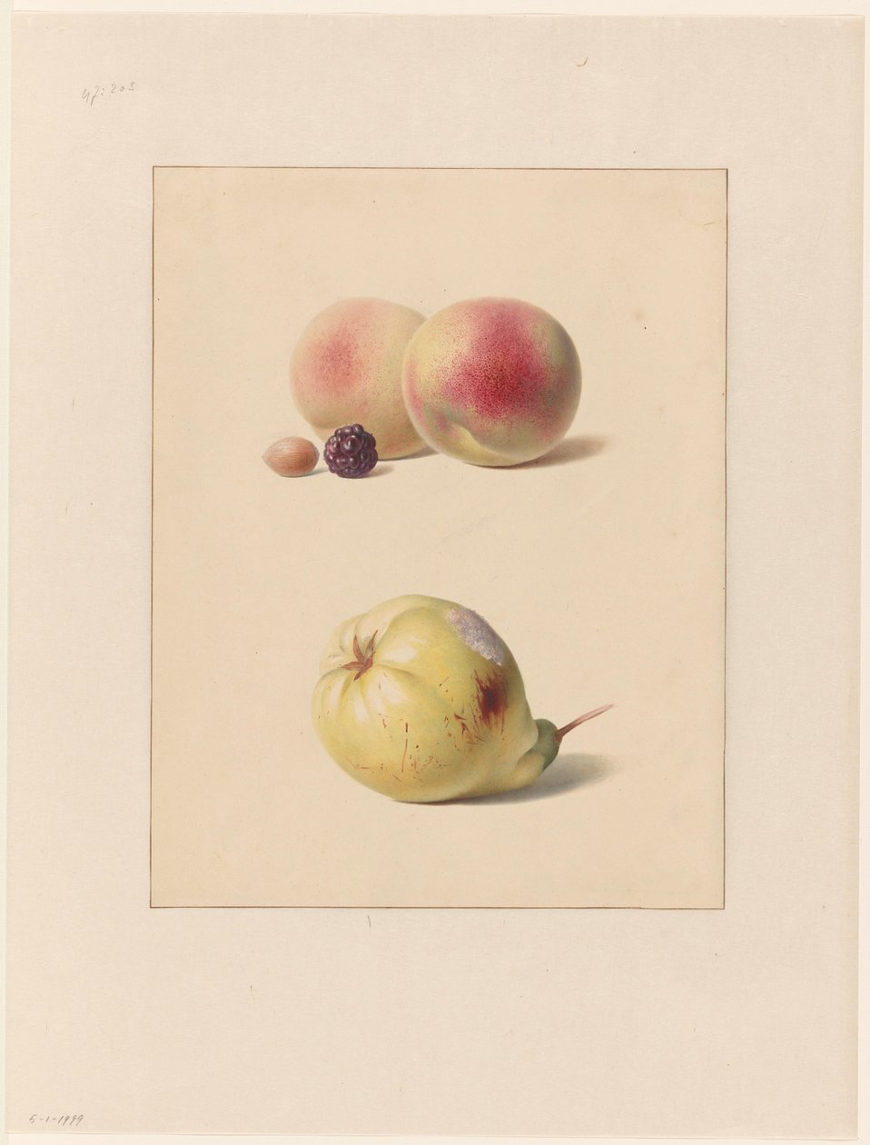 Peach, Blackberry, and Hazelnut and a Pear by Hendrik Reekers