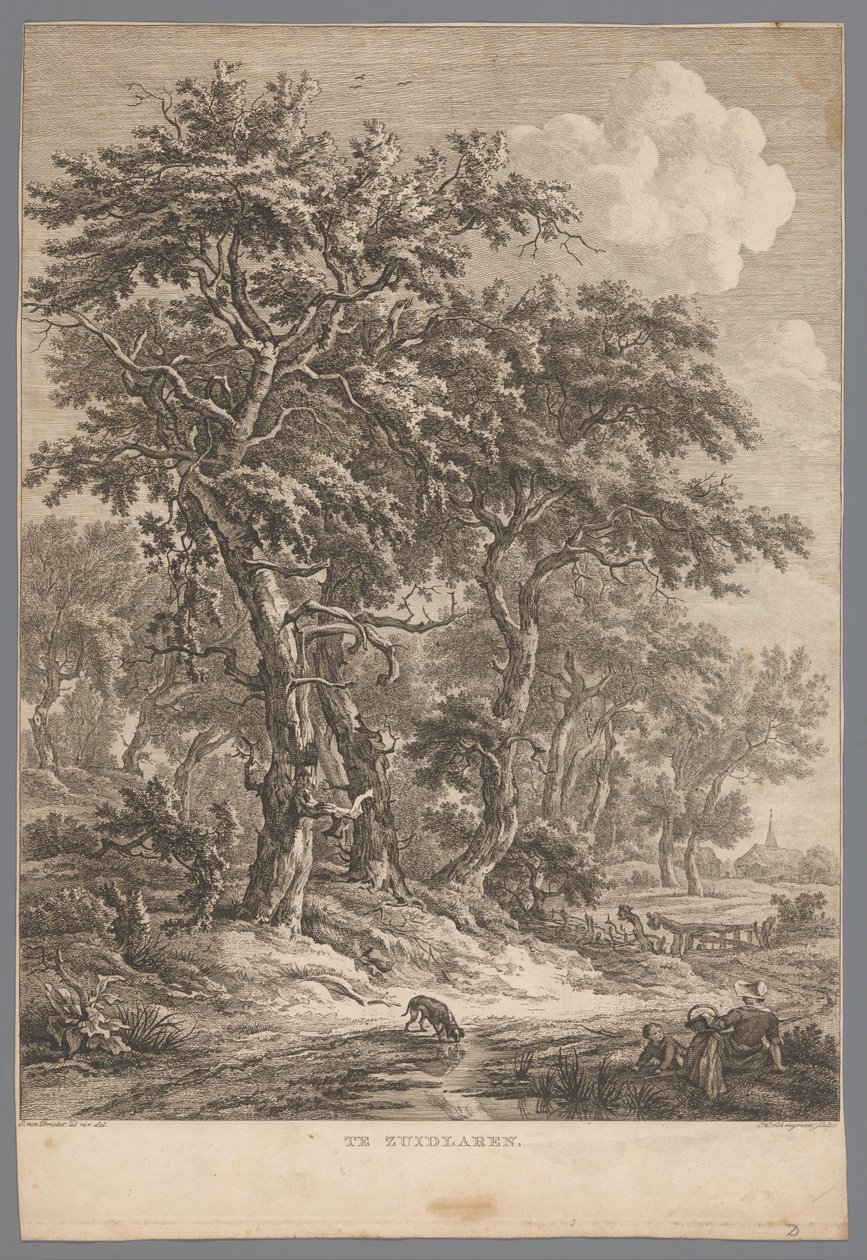 Landscape Near Zuidlaren (At Zuidlaren, Nine Views in Drenthe, IX Views in and Near the Landscape Drenthe) by Hendrik Schwegman
