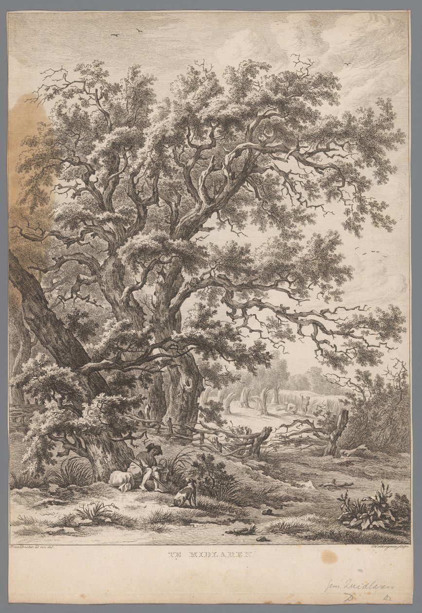 Landscape with a Man and Dog Under a Tree at Midlaren (Nine Views in Drenthe series) by Hendrik Schwegman