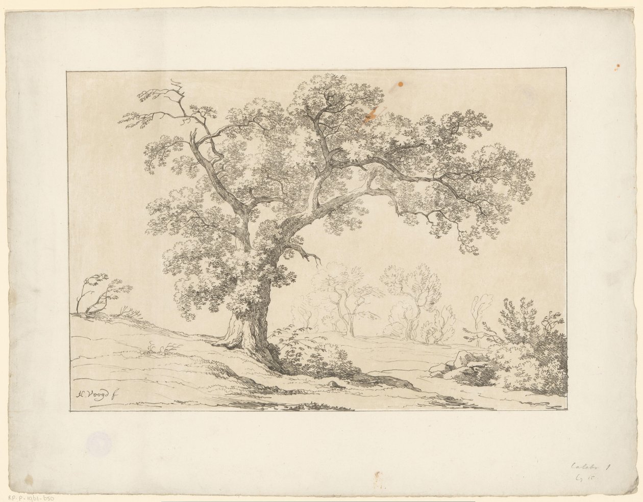 Tree in Landscape Tentamina Lithographica (series title) Italian Landscapes (series title) by Hendrik Voogd