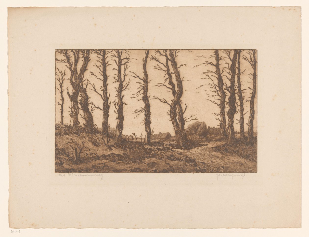 Old Blaricummerweg by Hendrik Weegewijs (signed by artist)