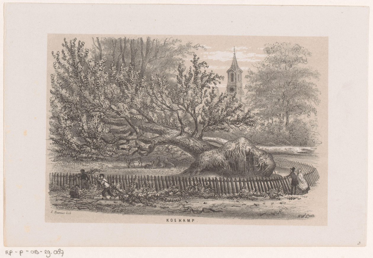 Fallen Tree by the Koekamp, After the Storm of May 28, 1860 by Hendrik Wilhelmus Last