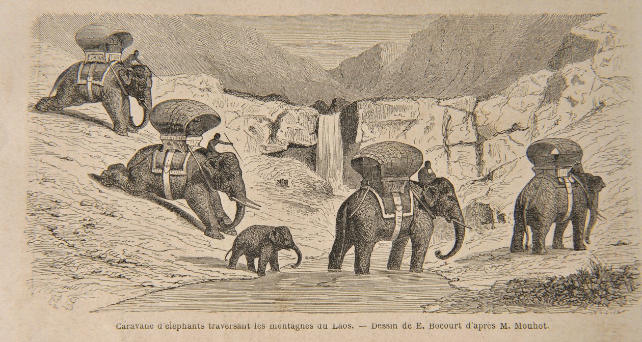 Caravan of Elephants Crossing the Mountains of Laos, print made by E. Bocourt, illustration from 
