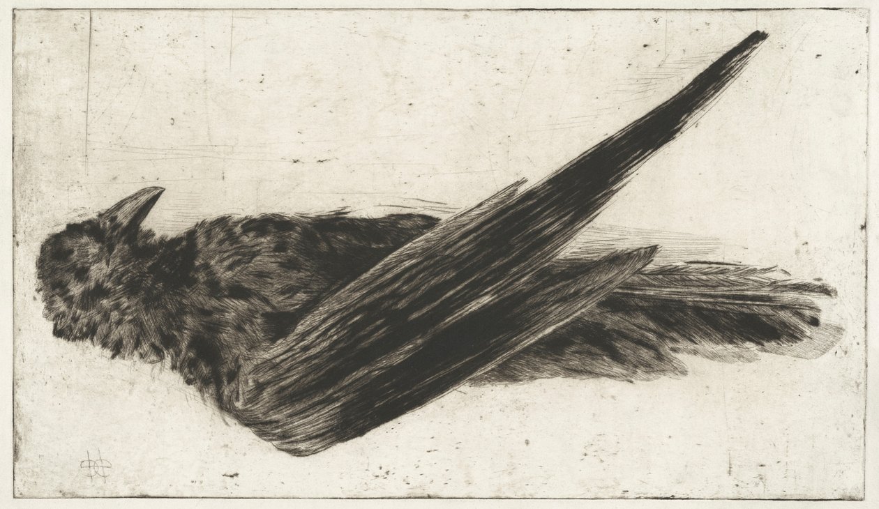 The Large Hanging Raven by Henri-Charles Guérard