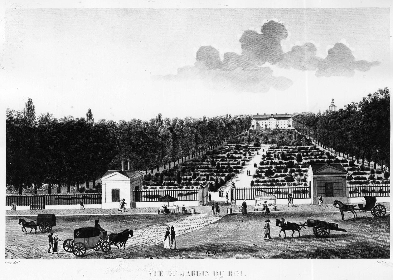 View of the King