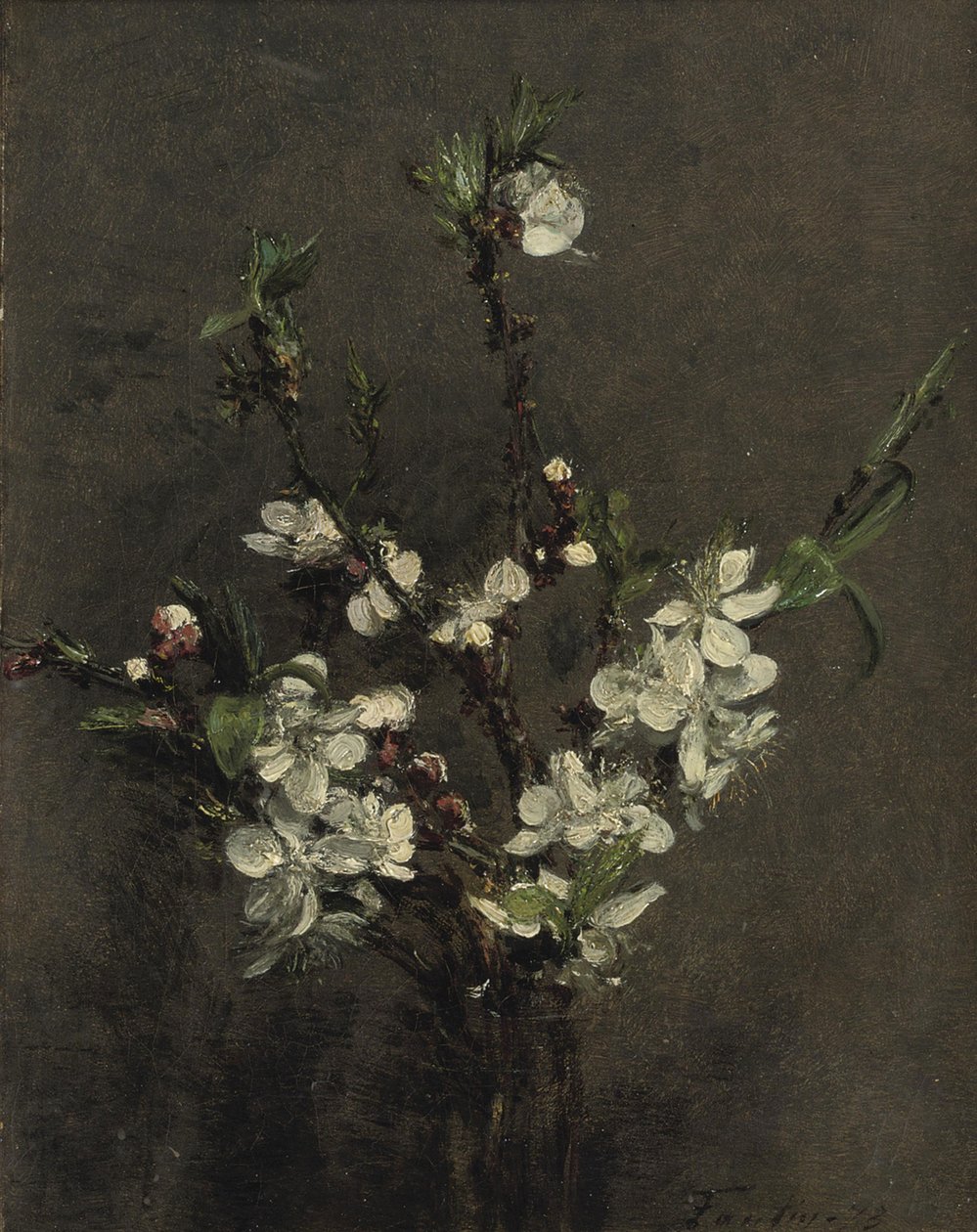 Fruit tree flowers by Ignace Henri Jean Fantin Latour