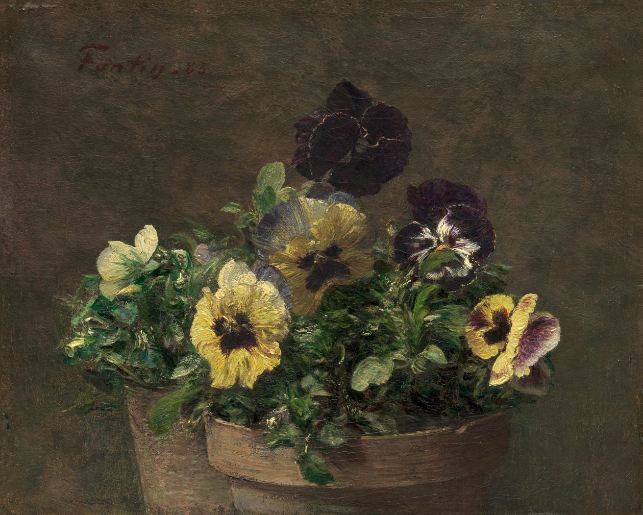Potted Pansies, 1883 by Ignace Henri Jean Fantin Latour