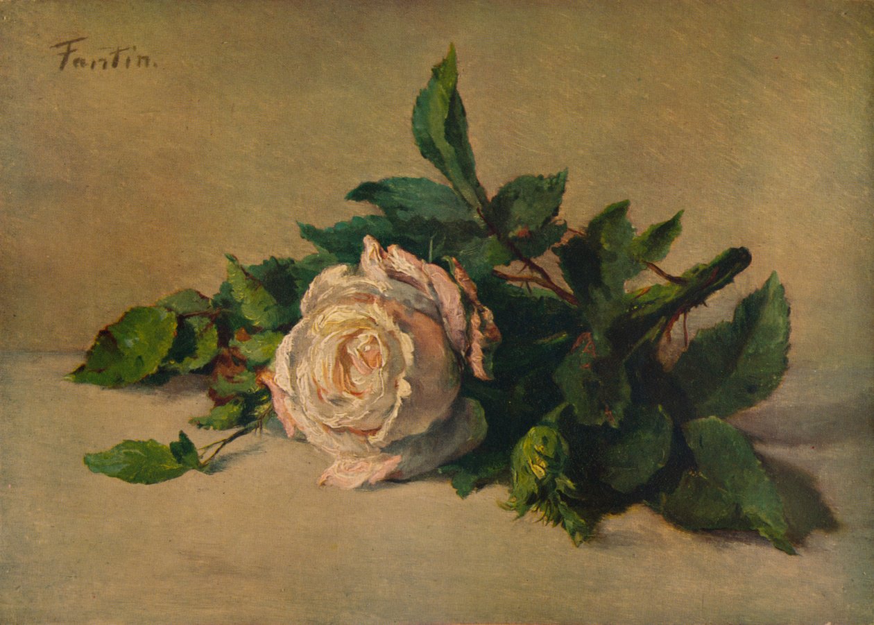 White Rose, c1863, 1938 by Ignace Henri Jean Fantin Latour