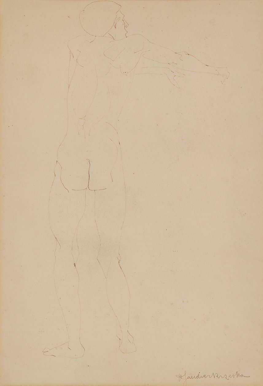 Male Nude by Henri Gaudier Brzeska