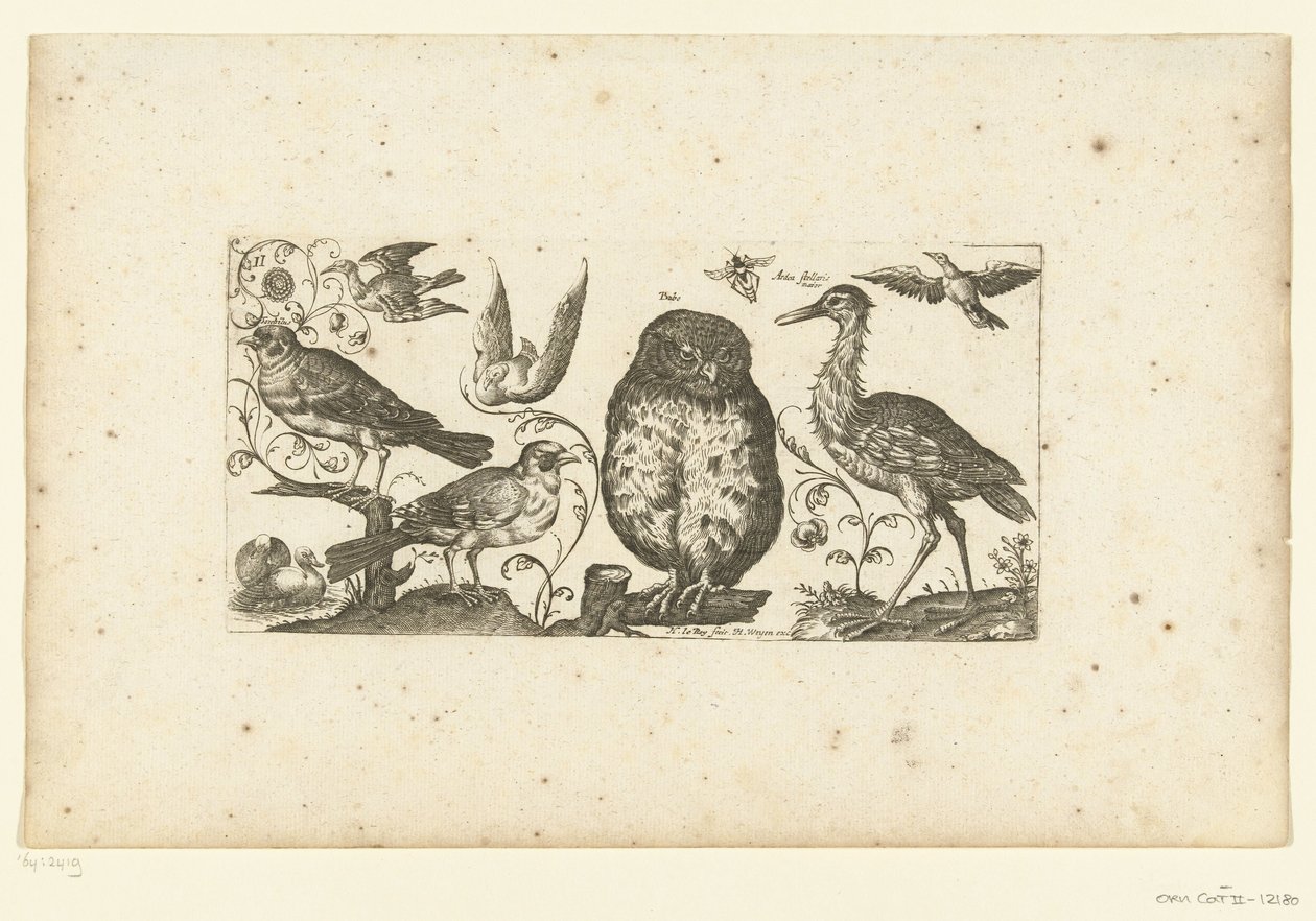 Nine Birds and an Insect (Birds) by Henri Le Roy