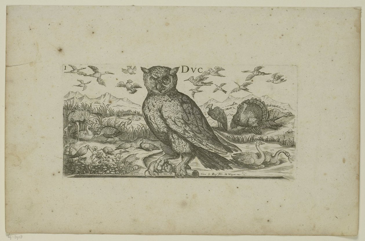 Owl and Other Birds Birds (series title) by Henri Le Roy