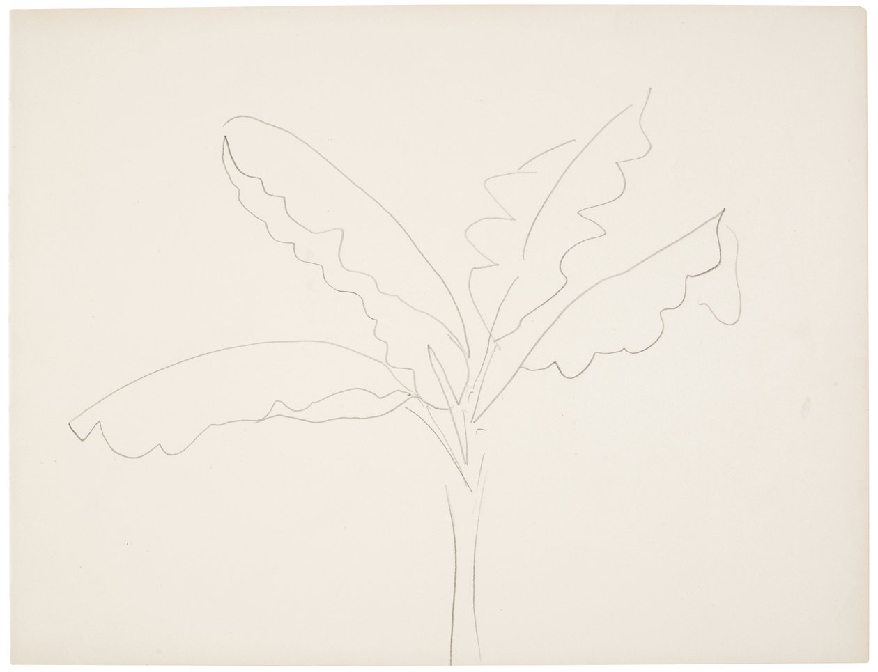 Banana Tree (Tahiti) by Henri Matisse