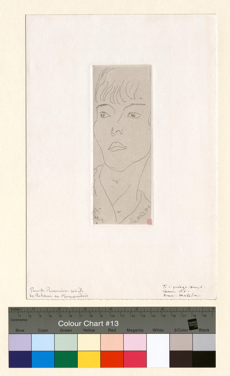 Mme D. G. Fanny by Henri Matisse