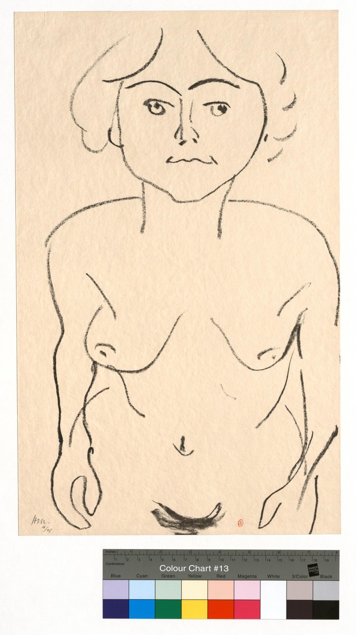 Nude from the Front, Bird