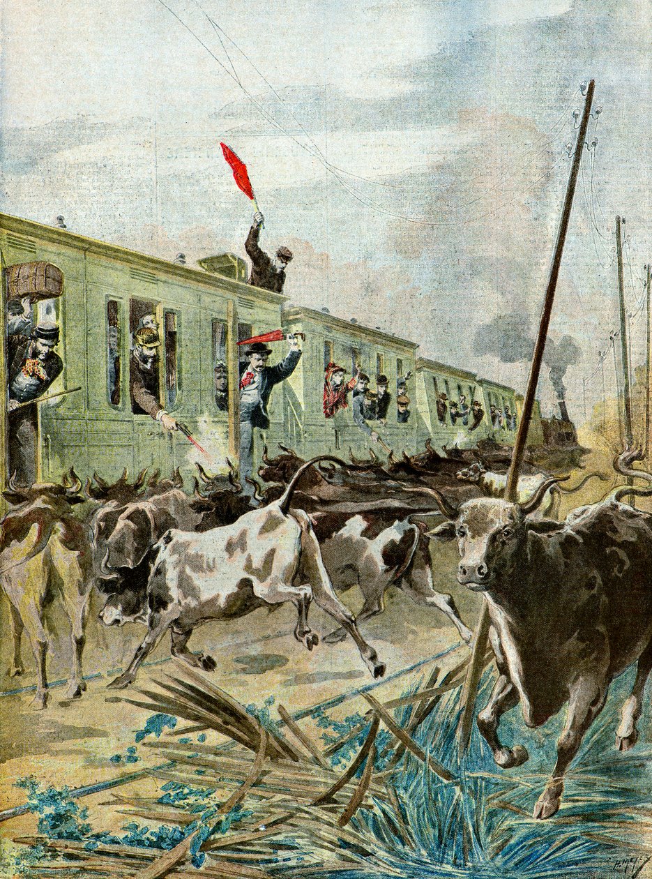 A Train Attacked by a Herd of Bulls, 1895 by Henri Meyer