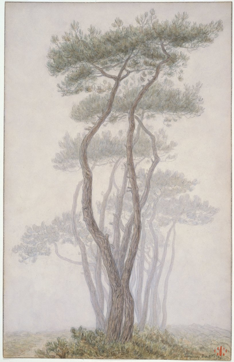 Loguivy, Trees by Henri Rivière
