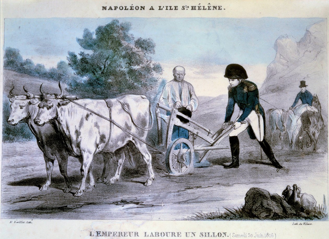 Napoleon I at Saint Helena: The Emperor Plows a Furrow by Henri Villain
