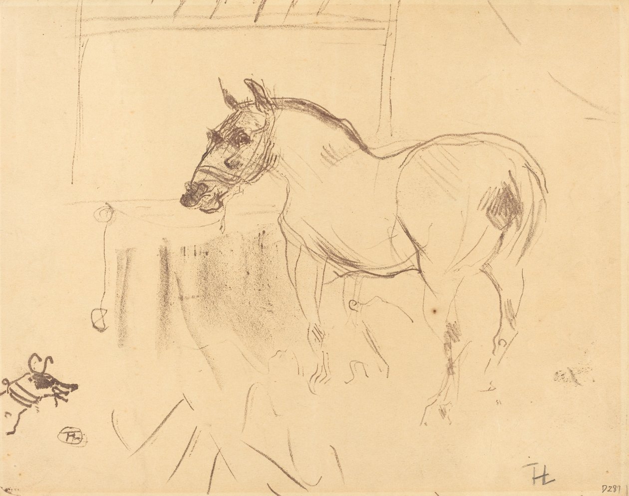 The Small Pony from Calmese by Henri de Toulouse Lautrec