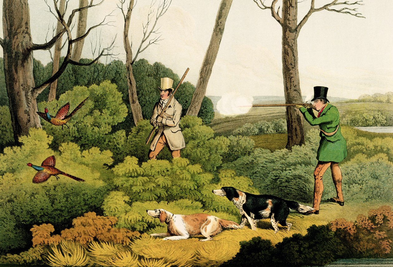 Pheasant Shooting by Henry Thomas Alken