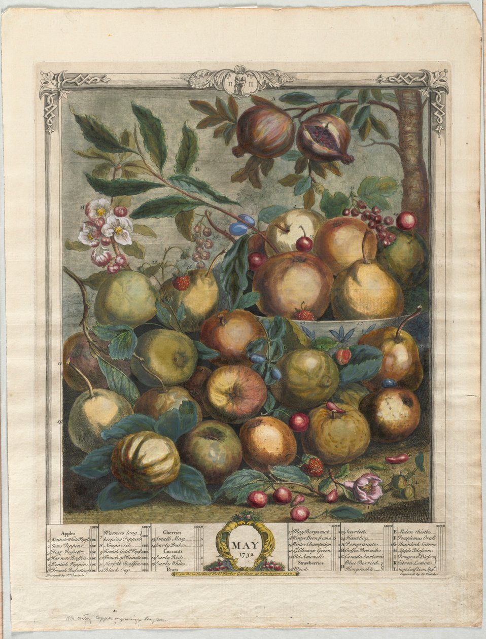 Twelve Months of Fruit: May by Henry Fletcher