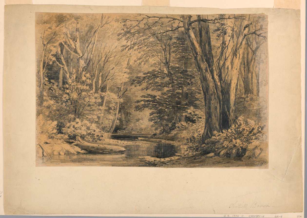 A Brook in the Woods, 1854 by Henry Hitchings