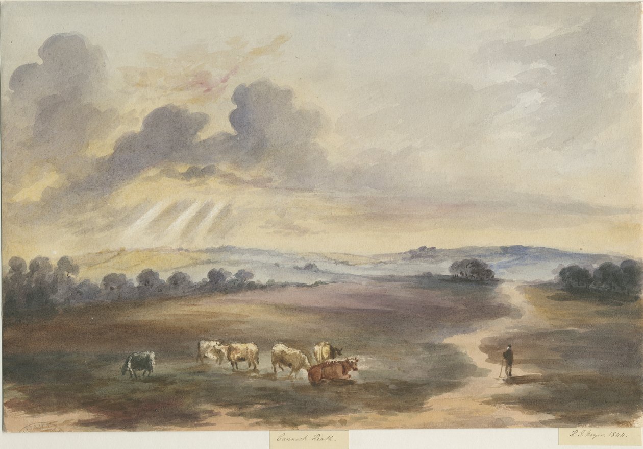 Cannock Chase - Heath by Henry James Noyes