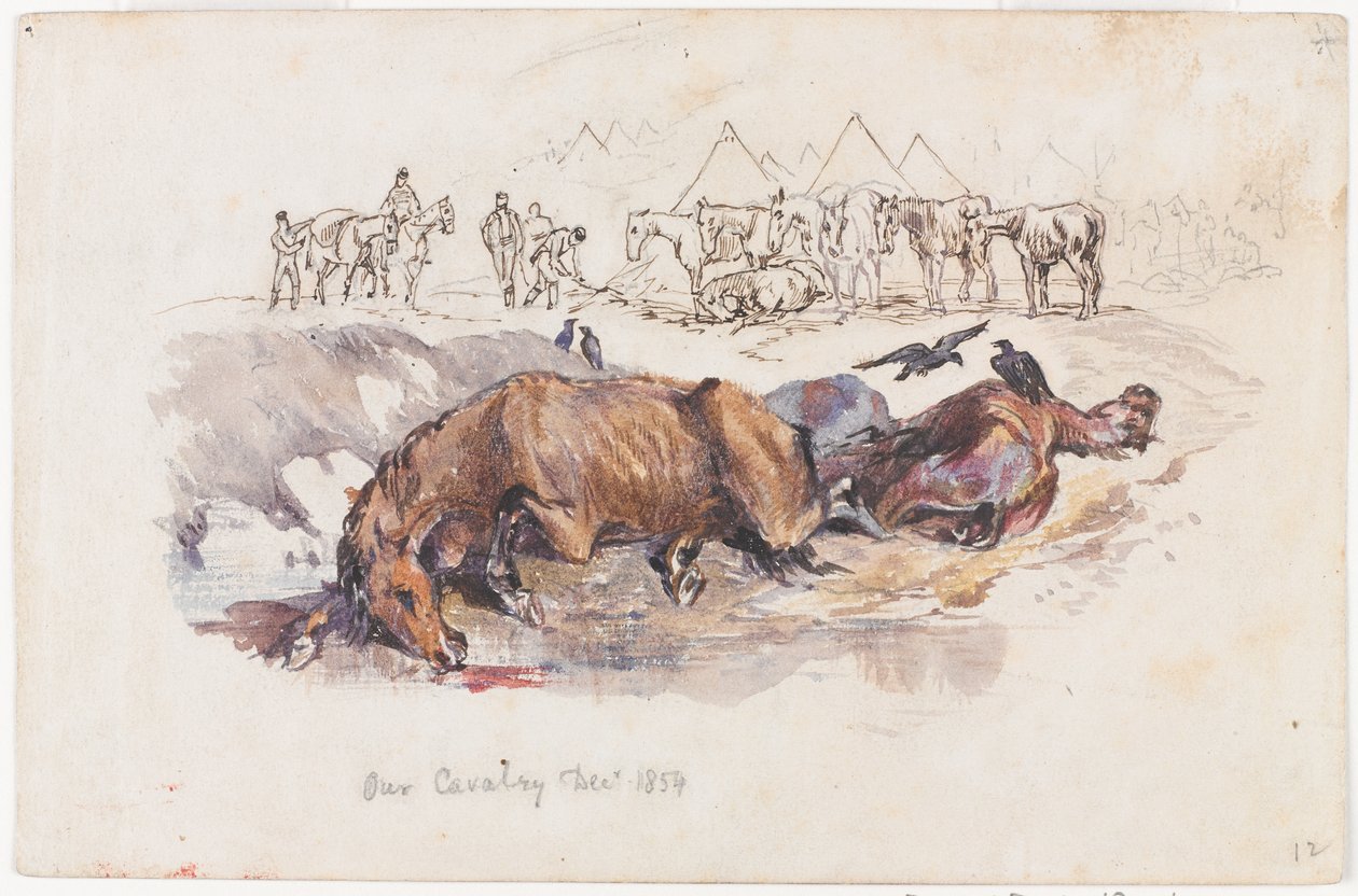 Our Cavalry, Dead Horses by Henry John Wilkinson
