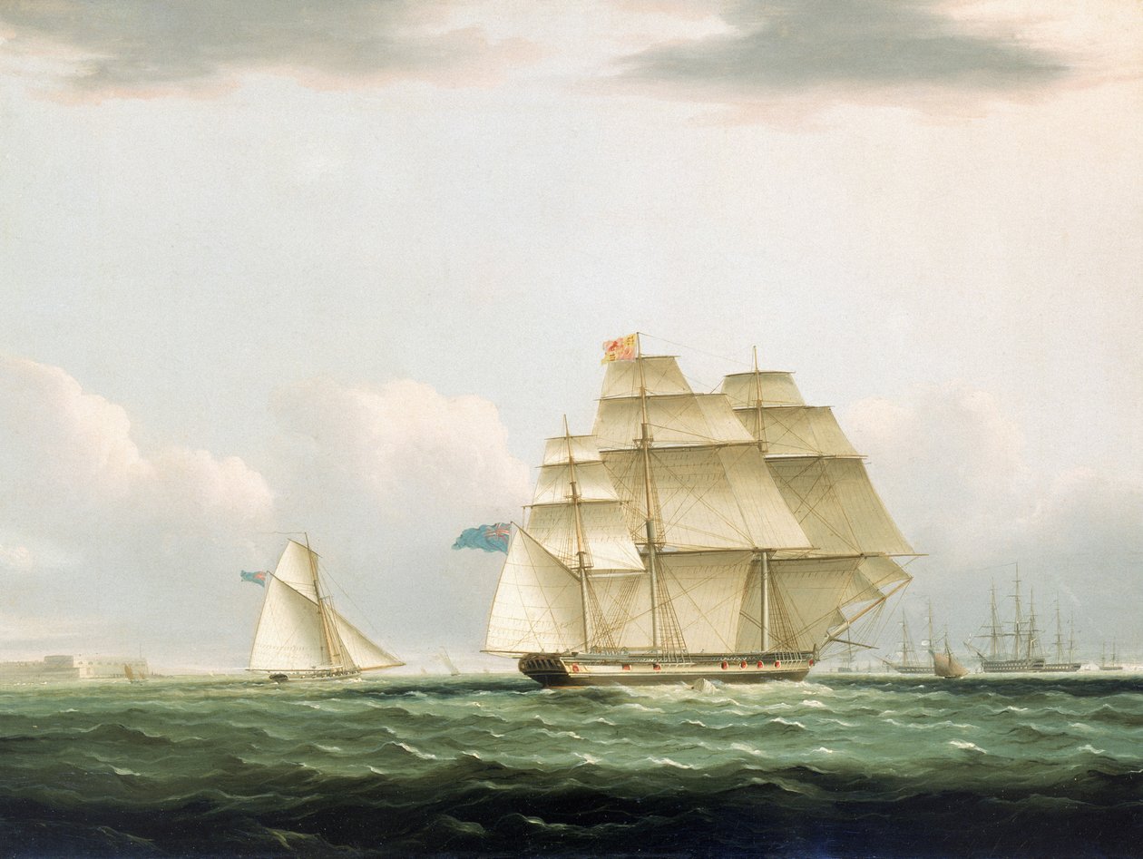 The yacht 