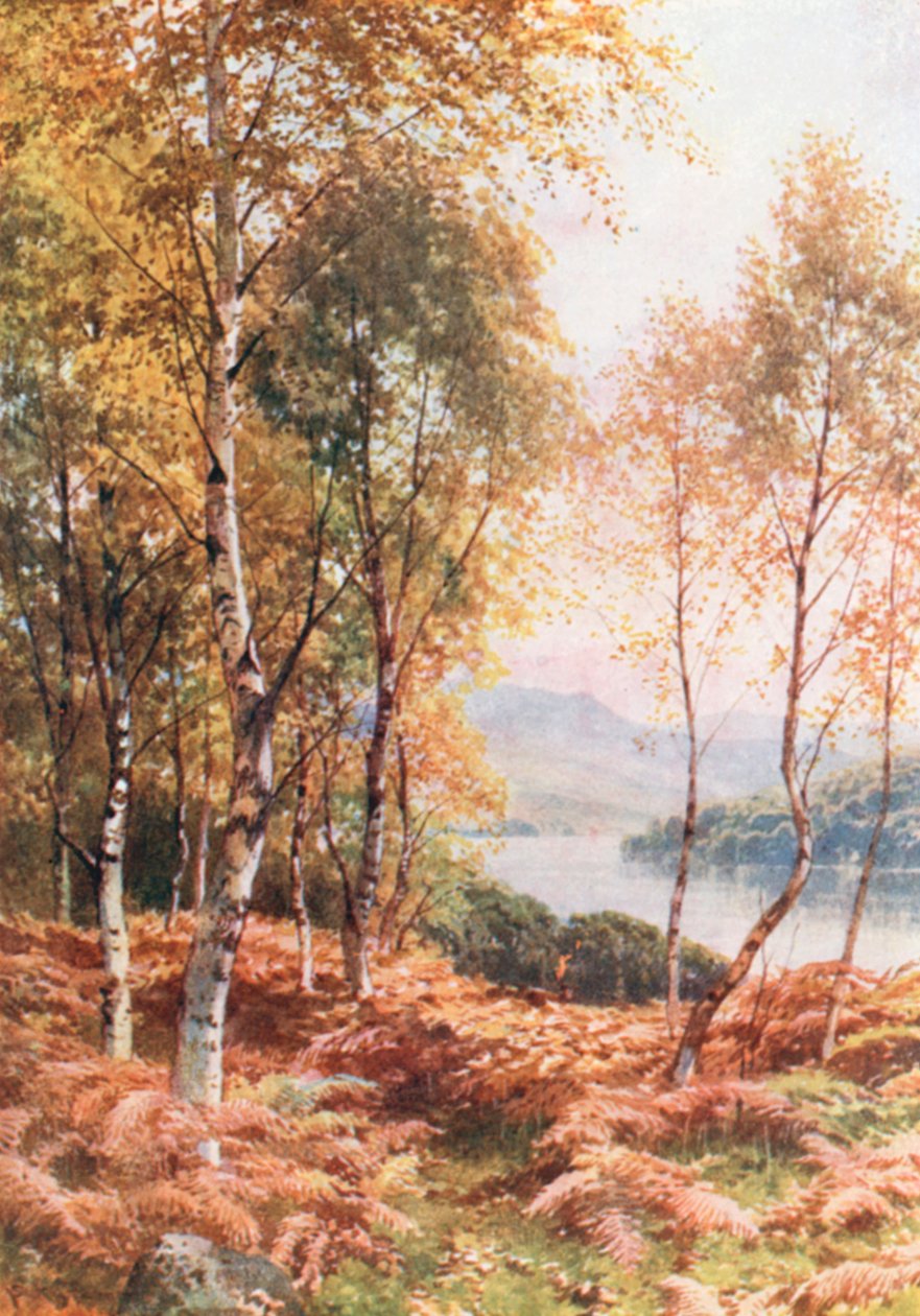 Birches by Loch Achray, Perthshire by Henry Sutton Palmer