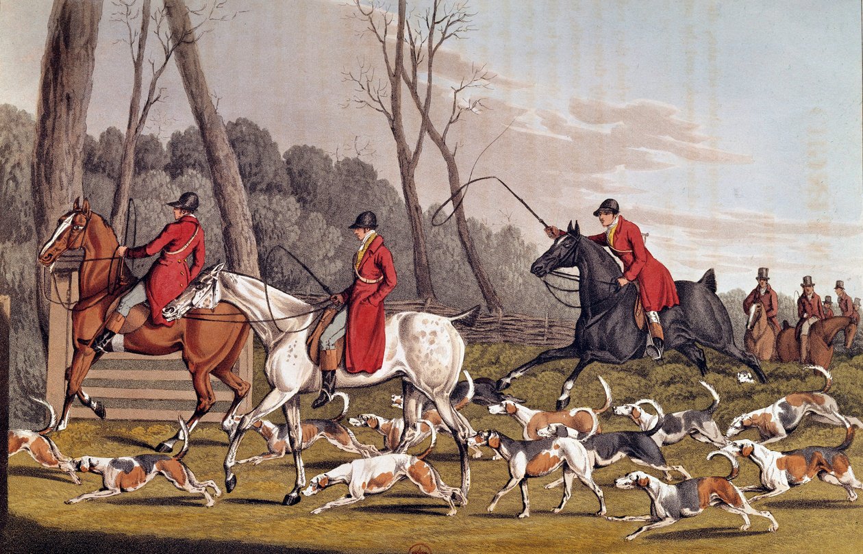 Hunting: 'The Fox Hunt' English Lithography by Henri Alken (1774