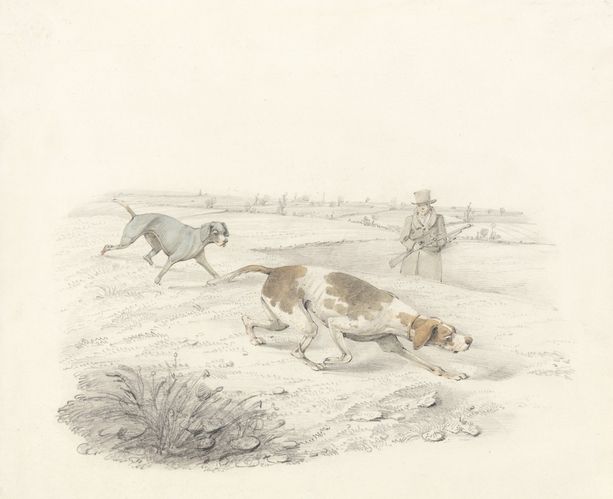 Two Pointers, facing right with a Sportsman by Henry Thomas Alken