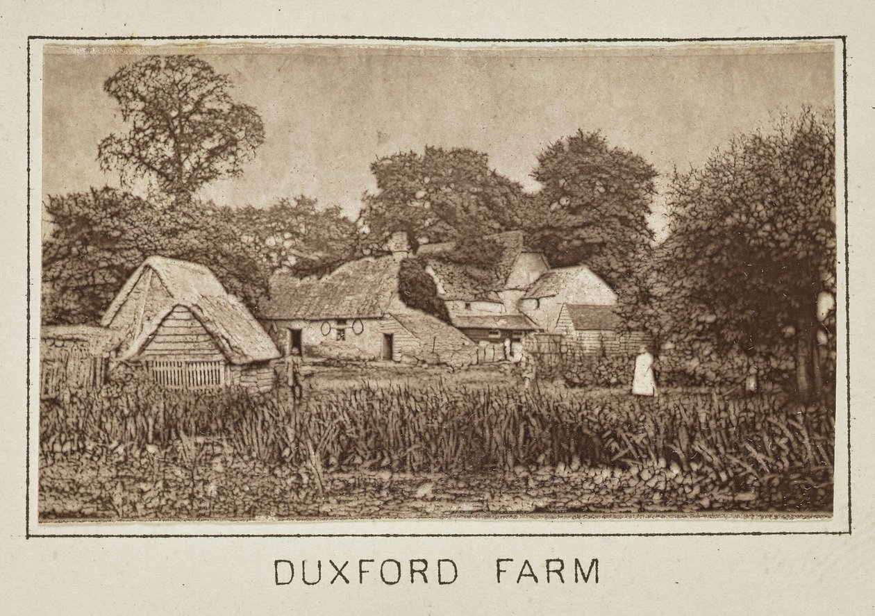 Duxford Farm by Henry W. Taunt