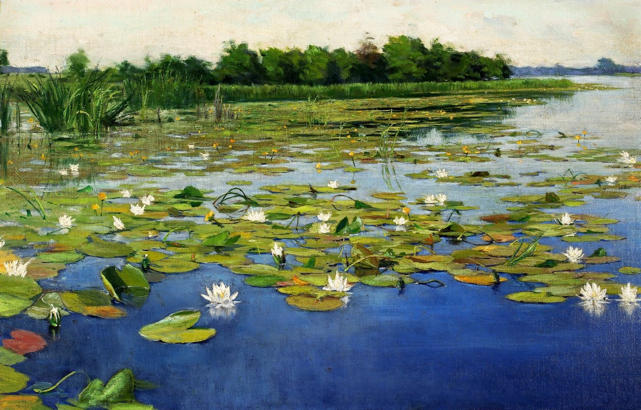 Water Lilies by Henryk Weyssenhoff