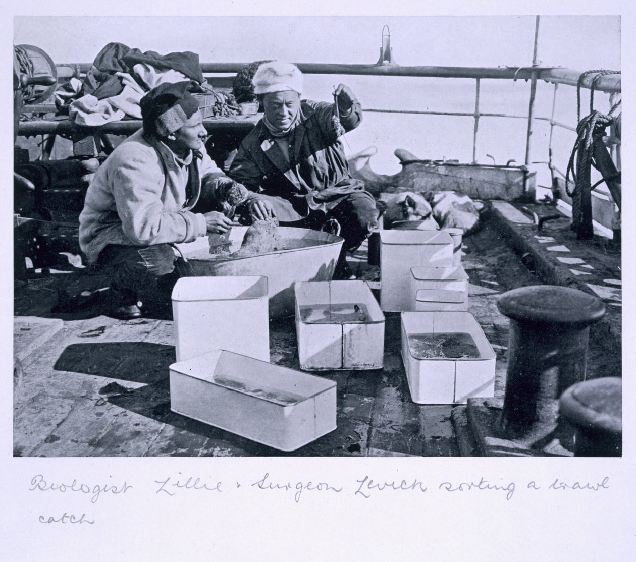 Biologist Lillie and Surgeon Levick Sorting a Trawl Catch on Board 