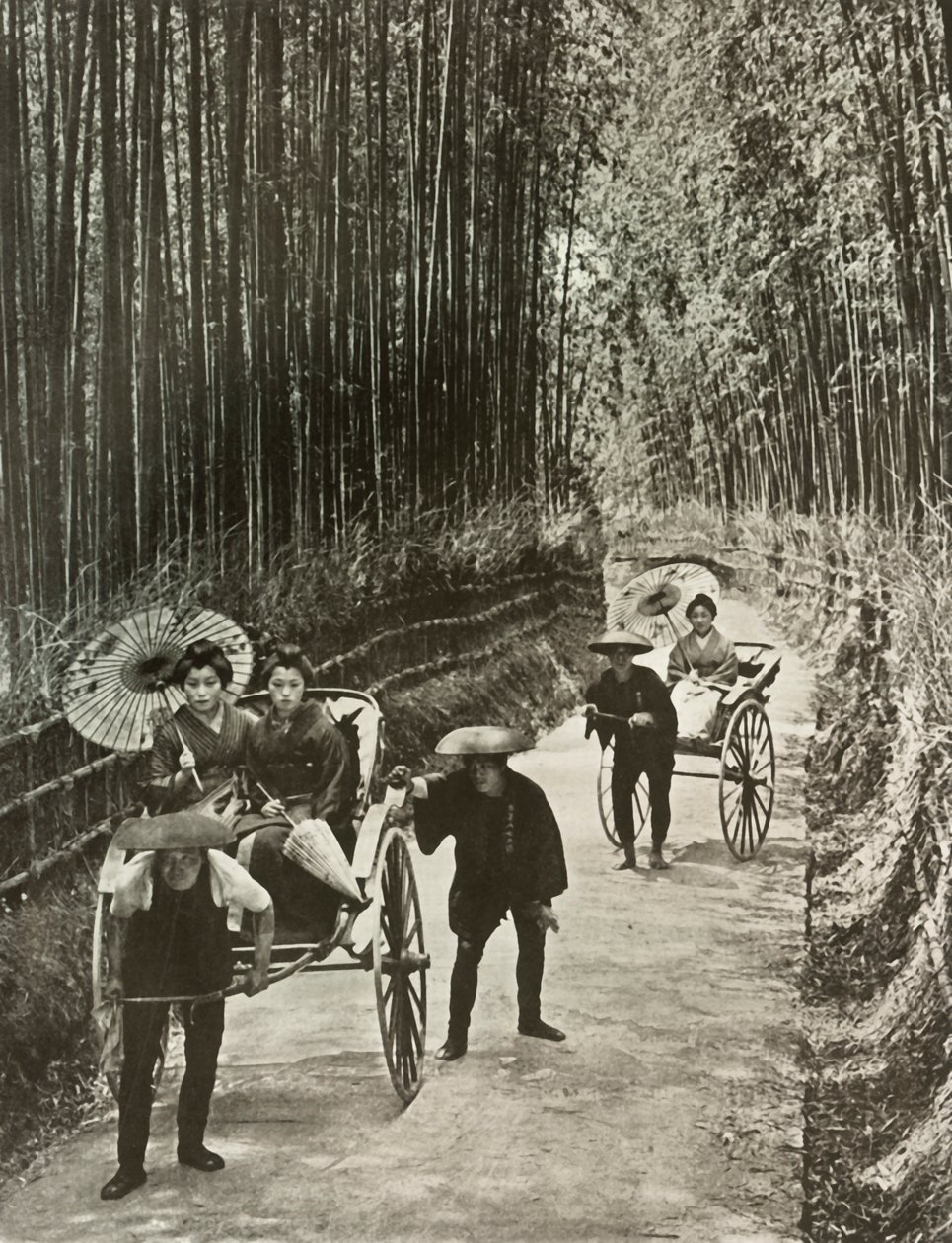 A Bamboo Avenue at Kyoto, 1910 by Herbert Ponting
